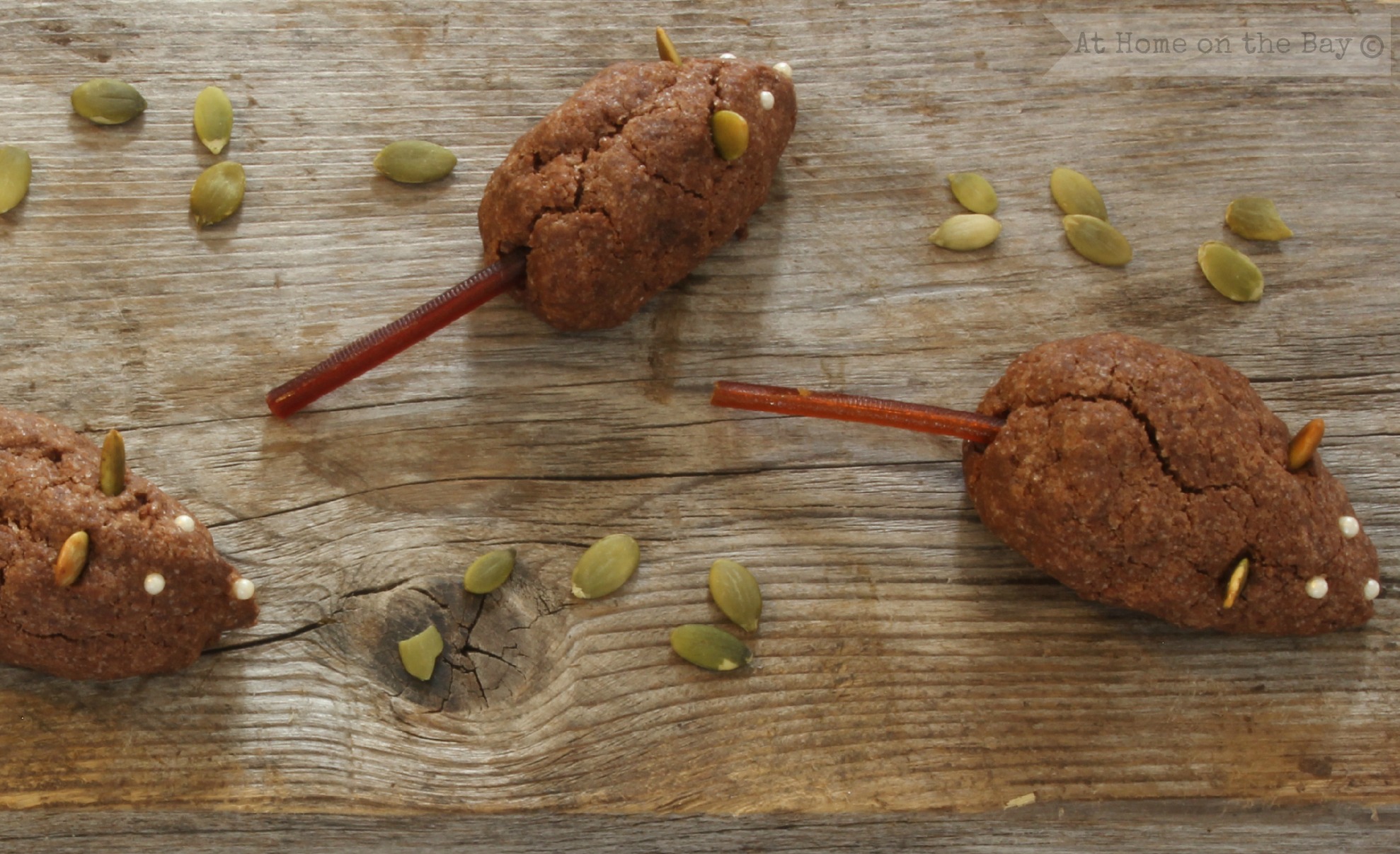 Scary Chocolate Mouse Cookies