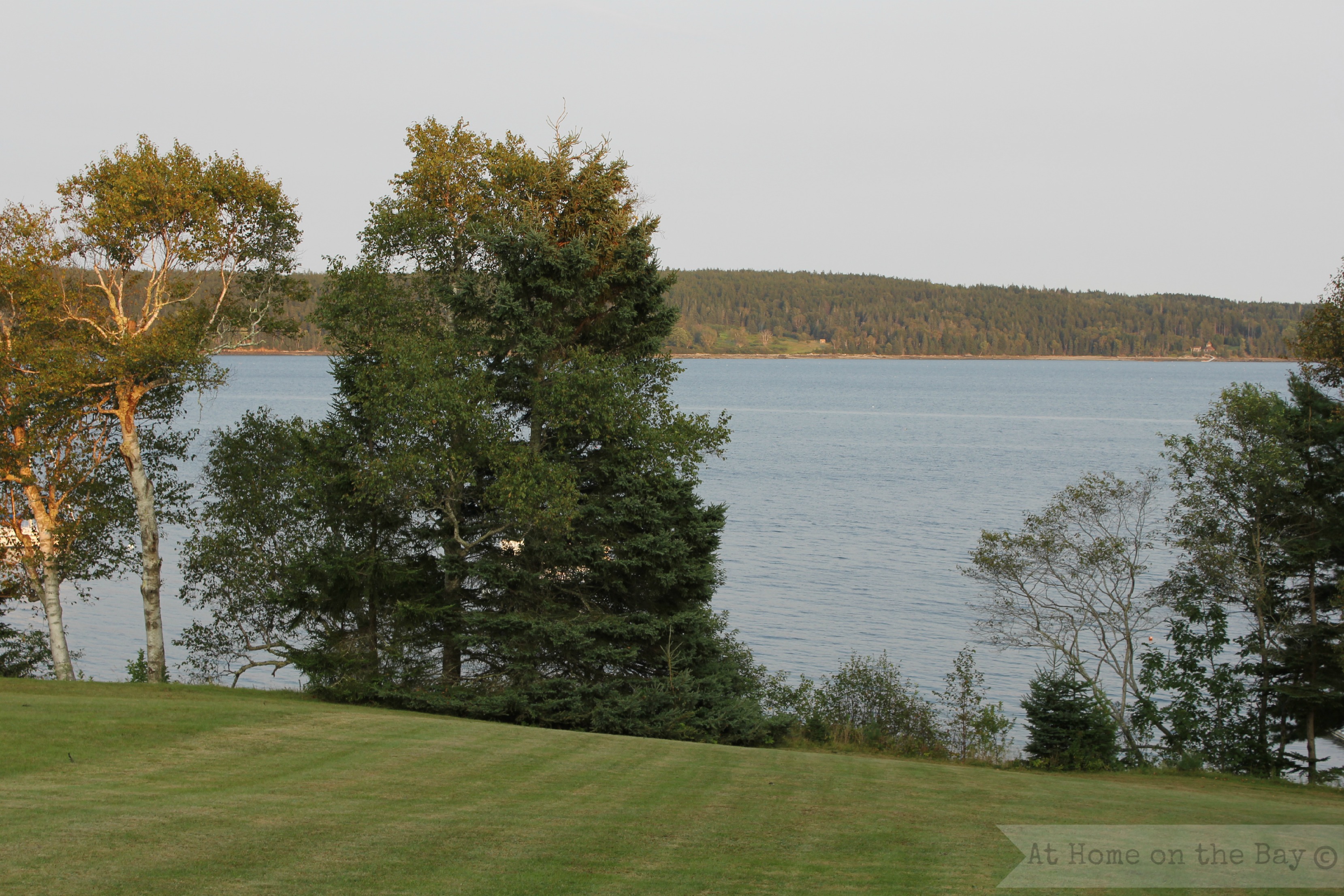 Autumn on the Bay