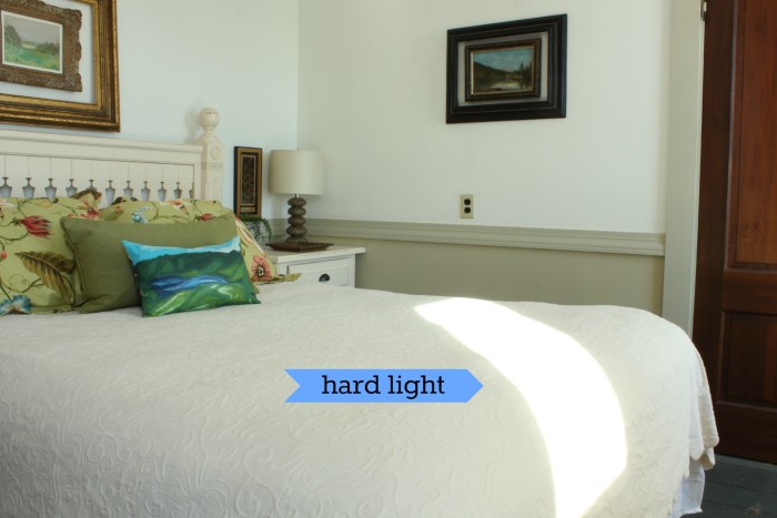 Photography Tip: Diffusing Hard Light