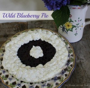 Wild Blueberry Pie