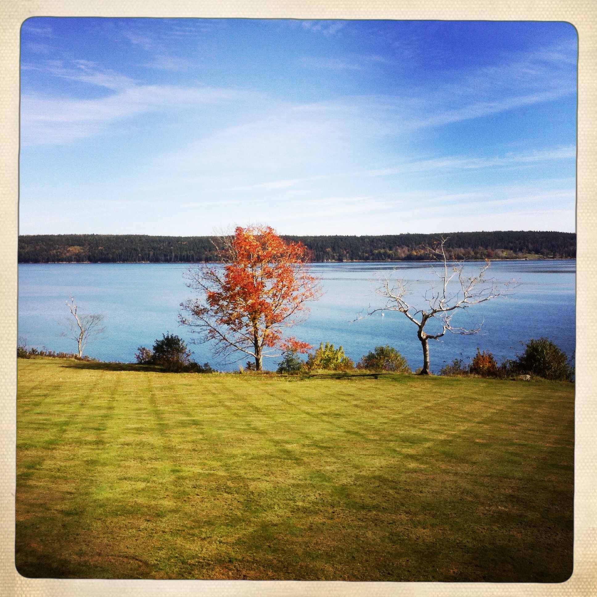 Fall Photos from Blue Hill Bay