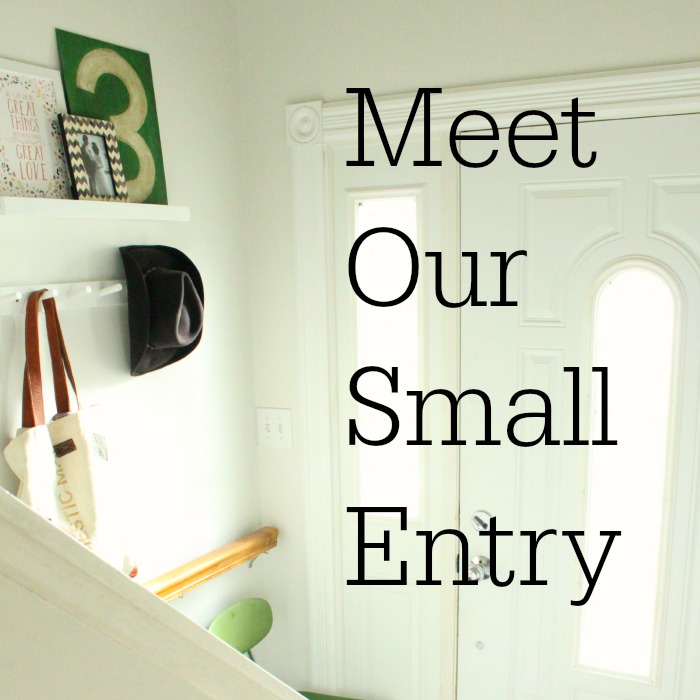 Meet Our Small Entry